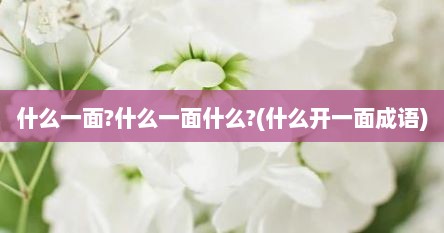 什么一面?什么一面什么?(什么开一面成语)