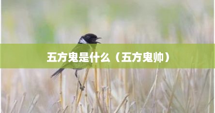 五方鬼是什么（五方鬼帅）
