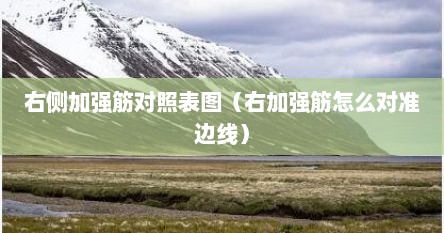 右侧加强筋对照表图（右加强筋怎么对准边线）