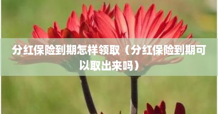 分红保险到期怎样领取（分红保险到期可以取出来吗）