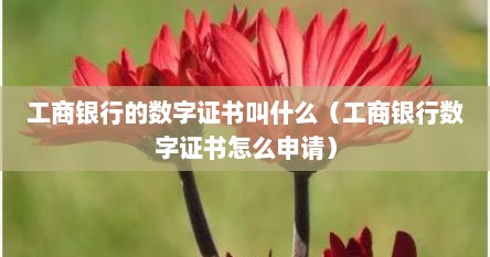 工商银行的数字证书叫什么(工商银行数字证书怎么申请) 工商银行的数字证书叫什么(工商银行数字证书怎么申请)