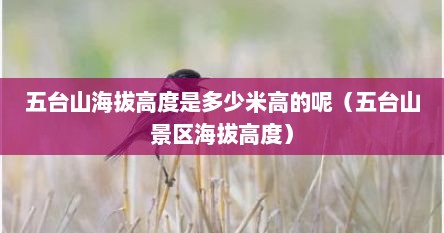 五台山海拔高度是多少米高的呢（五台山景区海拔高度）