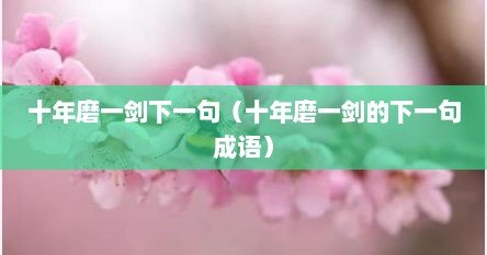 十年磨一剑下一句（十年磨一剑的下一句成语）