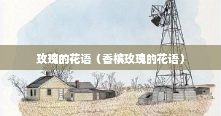 玫瑰的花语（香槟玫瑰的花语）