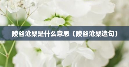 陵谷沧桑是什么意思（陵谷沧桑造句）