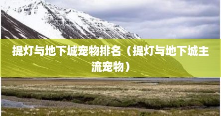 提灯与地下城宠物排名（提灯与地下城主流宠物）