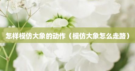 怎样模仿大象的动作（模仿大象怎么走路）