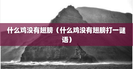 什么鸡没有翅膀（什么鸡没有翅膀打一谜语）