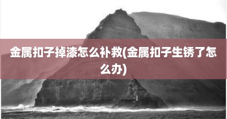 金属扣子掉漆怎么补救(金属扣子生锈了怎么办)