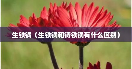 生铁锅（生铁锅和铸铁锅有什么区别）