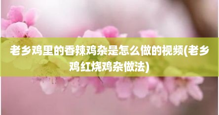 老乡鸡里的香辣鸡杂是怎么做的视频(老乡鸡红烧鸡杂做法)