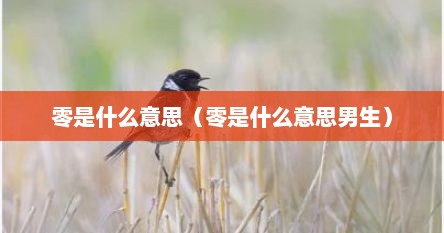 零是什么意思（零是什么意思男生）