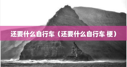 还要什么自行车（还要什么自行车 梗）