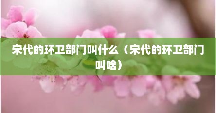 宋代的环卫部门叫什么（宋代的环卫部门叫啥）