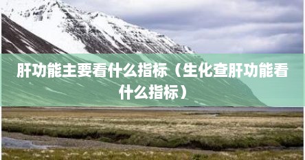 肝功能主要看什么指标（生化查肝功能看什么指标）