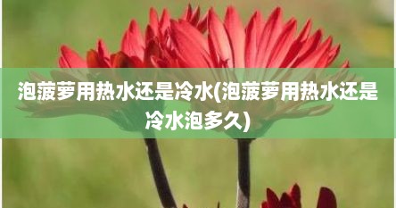 泡菠萝用热水还是冷水(泡菠萝用热水还是冷水泡多久)