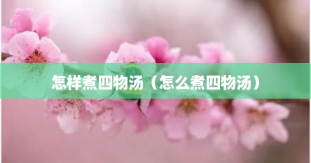 怎样煮四物汤（怎么煮四物汤）