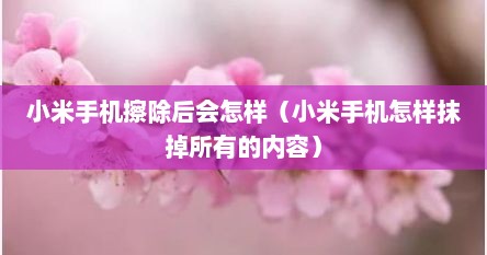 小米手机擦除后会怎样（小米手机怎样抹掉所有的内容）