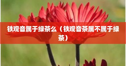 铁观音属于绿茶么（铁观音茶属不属于绿茶）