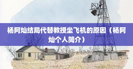 杨阿灿简历（杨阿灿是不是虚构的）