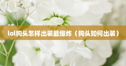 狗头怎么出装最暴力（狗头怎么出装伤害最高）