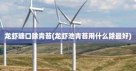 龙虾塘口除青苔(龙虾池青苔用什么除最好)