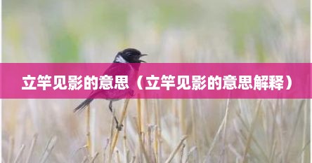 立竿见影的意思（立竿见影的意思解释）