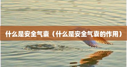什么是安全气囊（什么是安全气囊的作用）