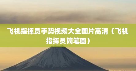 飞机指挥员手势视频大全图片高清（飞机指挥员简笔画）