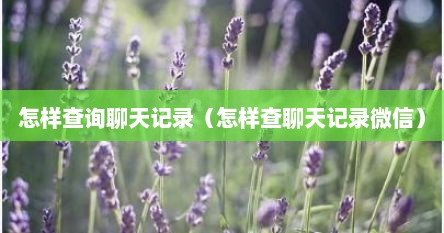怎样查询聊天记录（怎样查聊天记录微信）