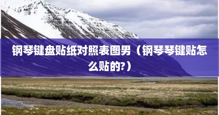 钢琴键盘贴纸对照表图男（钢琴琴键贴怎么贴的?）
