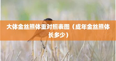大体金丝熊体重对照表图（成年金丝熊体长多少）
