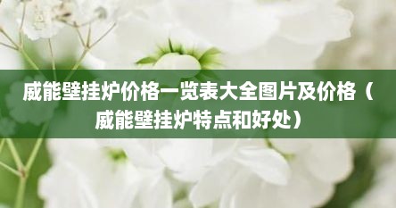威能壁挂炉价格一览表大全图片及价格（威能壁挂炉特点和好处）