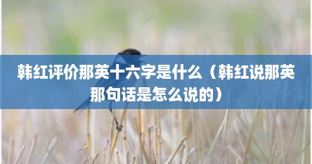 韩红评价那英十六字是什么（韩红说那英那句话是怎么说的）