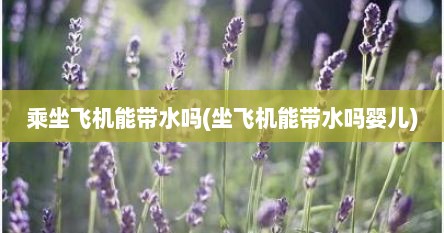 乘坐飞机能带水吗(坐飞机能带水吗婴儿)