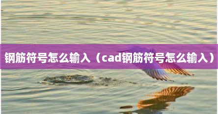 钢筋符号怎么输入（cad钢筋符号怎么输入）