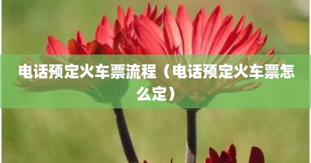 电话预定火车票流程（电话预定火车票怎么定）