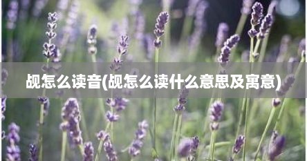 觇怎么读音(觇怎么读什么意思及寓意)
