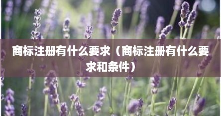 商标注册有什么要求（商标注册有什么要求和条件）