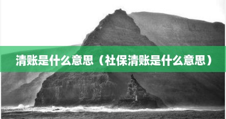 清账是什么意思（社保清账是什么意思）