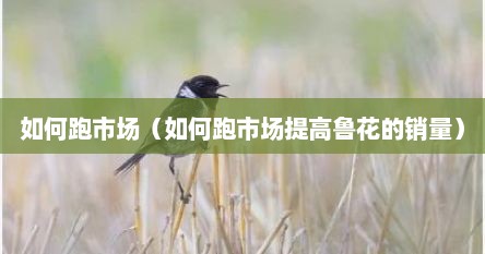 如何跑市场（如何跑市场提高鲁花的销量）