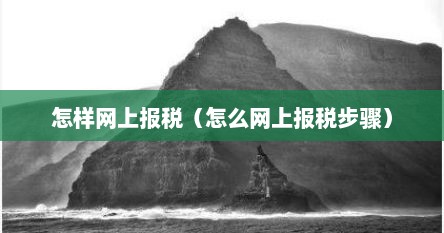 怎样网上报税(怎么网上报税步骤) 怎样网上报税(怎么网上报税步骤)