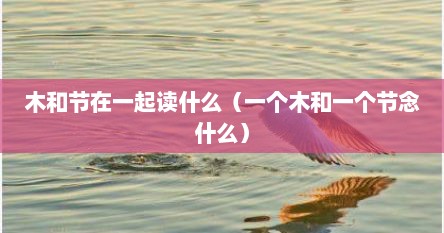 木和节在一起读什么（一个木和一个节念什么）