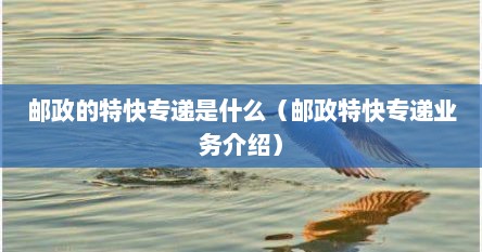 邮政的特快专递是什么（邮政特快专递业务介绍）