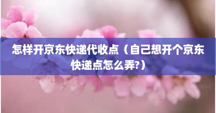 怎样开京东快递代收点（自己想开个京东快递点怎么弄?）