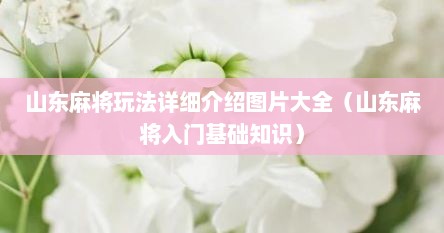 山东麻将玩法详细介绍图片大全（山东麻将入门基础知识）