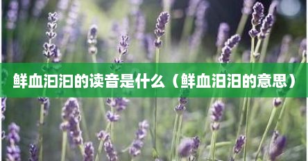 鲜血汩汩的读音是什么（鲜血汨汨的意思）