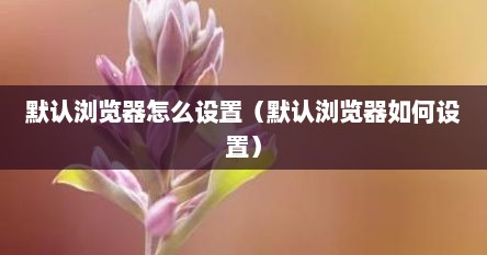 默认浏览器怎么设置（默认浏览器如何设置）