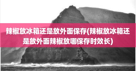 辣椒放冰箱还是放外面保存(辣椒放冰箱还是放外面辣椒放哪保存时效长)