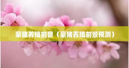 豪猪养殖前景（豪猪养殖前景预测）